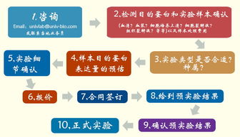 優(yōu)寧維公司隆重推出專業(yè)抗體相關實驗技術服務，賦能生命科學研究